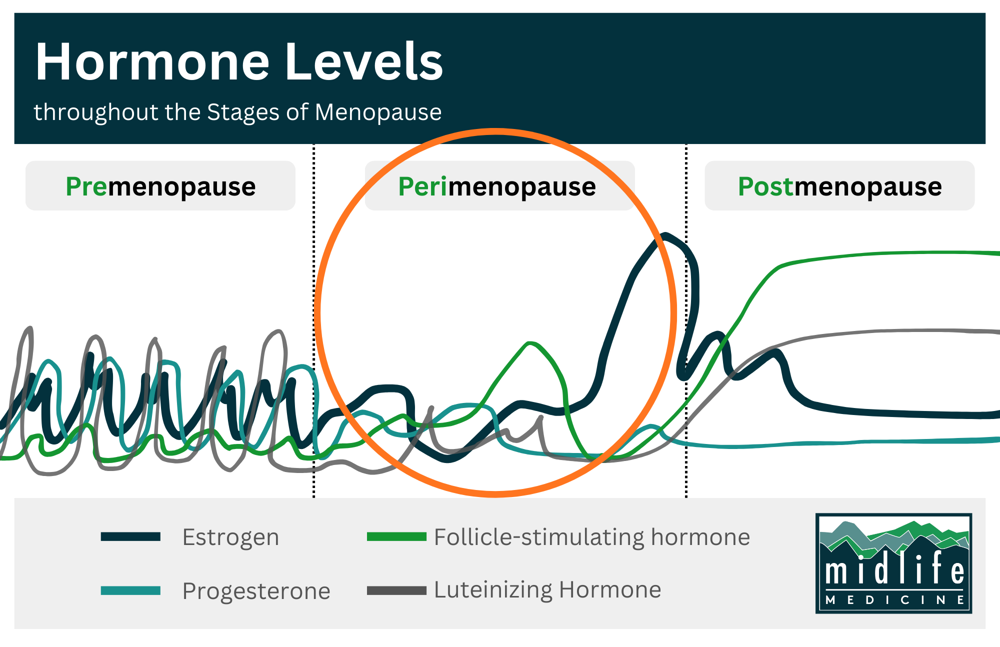 Midlife Medicine menopause and midlife care
