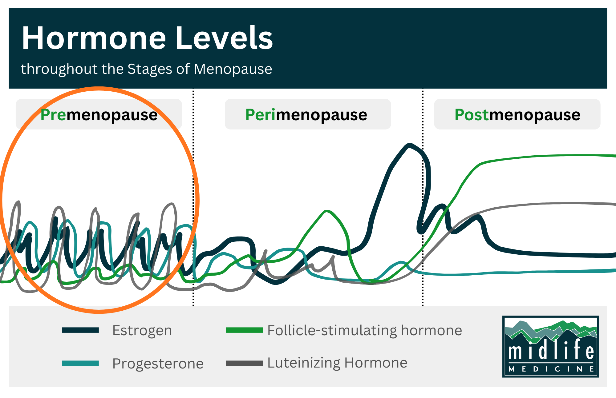Midlife Medicine menopause and midlife care