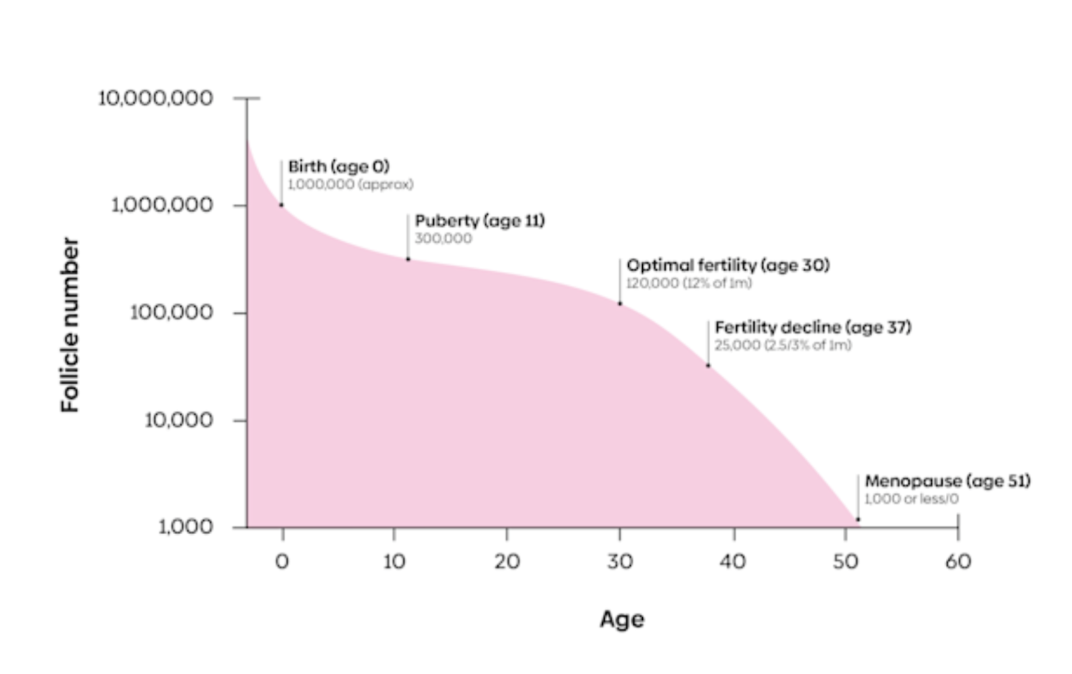 Midlife Medicine menopause and midlife care